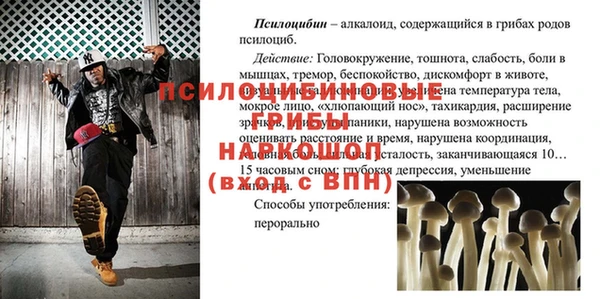 герыч Богородск